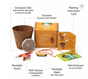 Plantable Rakhi Kit - Sun - Contents