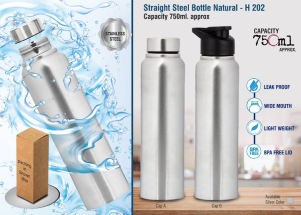 H202 – Straight steel bottle Natural | Capacity 750ml approx