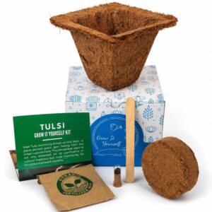 Grow Solo Square (GIY Kit) (Min. Order: 10 pcs)