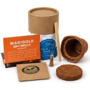 Mini Grow it Yourself Kit -2" (Min. Order: 100 pcs)