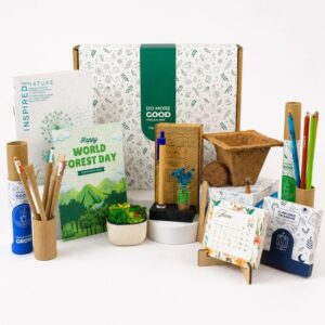 Forest & Grow Desk Activity Box (Min. Order: 10 pcs)