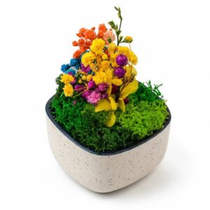 Ceramic Forest Bowl-3" (Min. Order: 10 pcs)