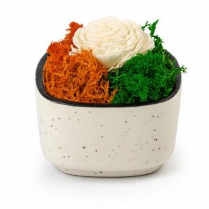 Ceramic Forest Bowl (Min. Order: 10 pcs)