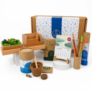 Forest Station Grow Desk Gift Box (Min. Order: 10 pcs)