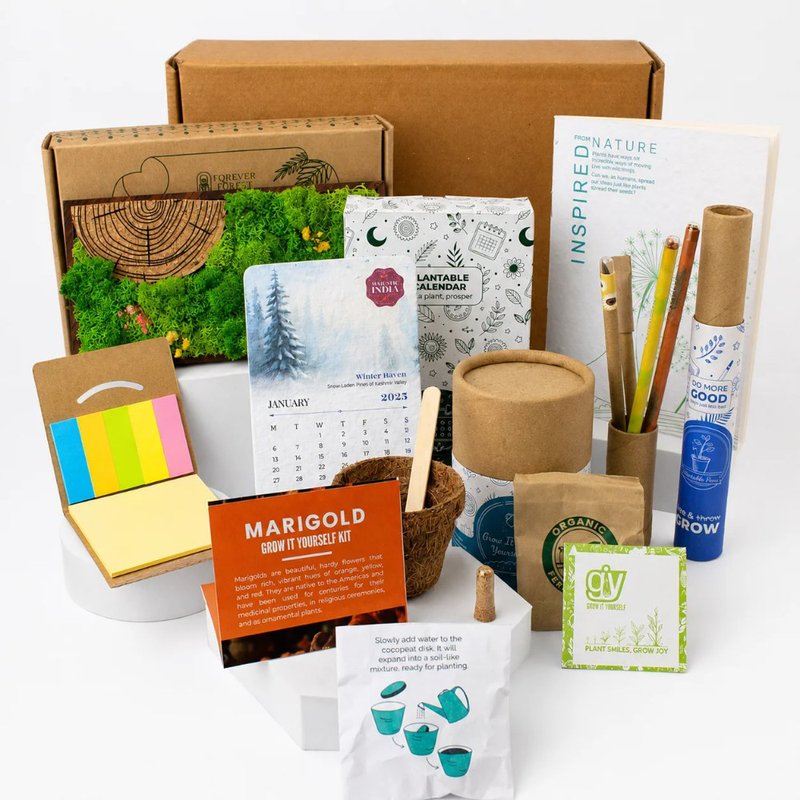 Forest Panorama Desk Gift Box (Min. Order: 10 pcs)