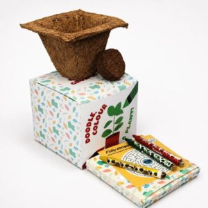 Colour & Plant Crayon Kit (Min. Order: 10 pcs)