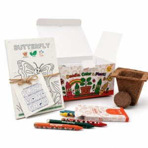 Colour & Bloom Grow Kit (Min. Order: 10 pcs)