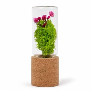 Forest Pod (brown) (Min. Order: 10 pcs)