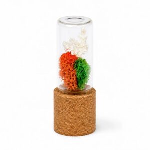 Forest Pod - Tricolour (Min. Order: 10 pcs)