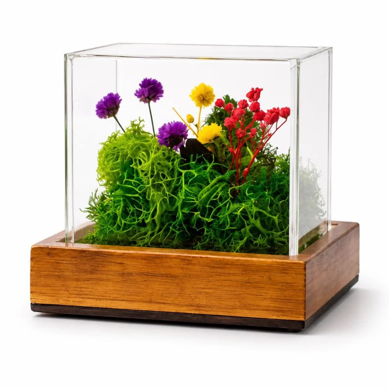 Forest Terrarium Cube (Min. Order: 10 pcs)