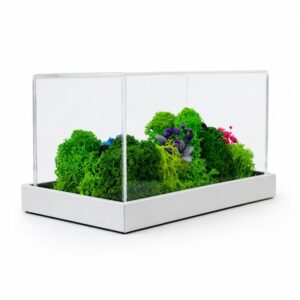 Forest Terrarium Landscape | 6" x 3" (Min. Order: 10 pcs)
