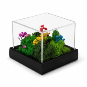 Forest Terrarium Desktop (Min. Order: 10 pcs)