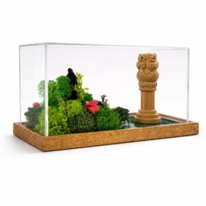 Forest Terrarium 59 - India (Min. Order: 10 pcs)