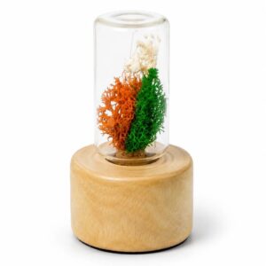Forest Stump Classic - Tricolour (Min. Order: 10 pcs)